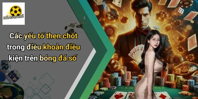 Điều Khoản Điều Kiện