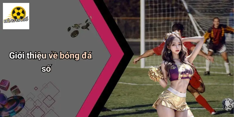 Bóng Đá Số