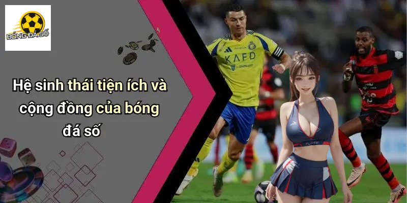 Bóng Đá Số