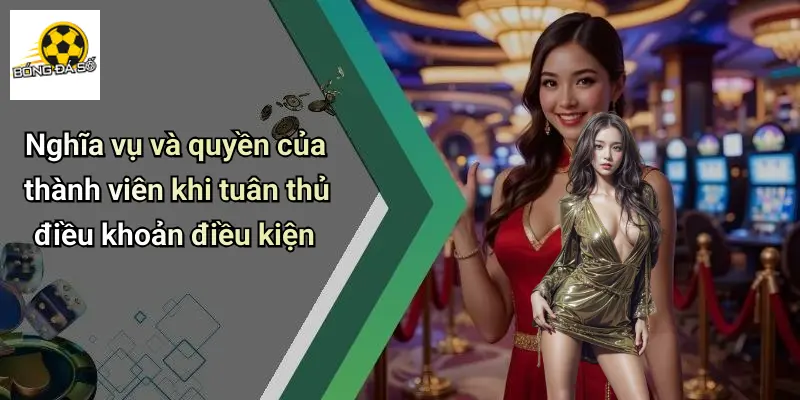Điều Khoản Điều Kiện