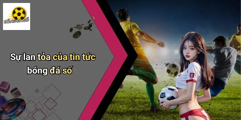 Tin Tức Bóng Đá