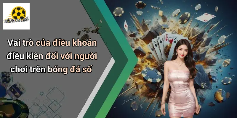 Điều Khoản Điều Kiện