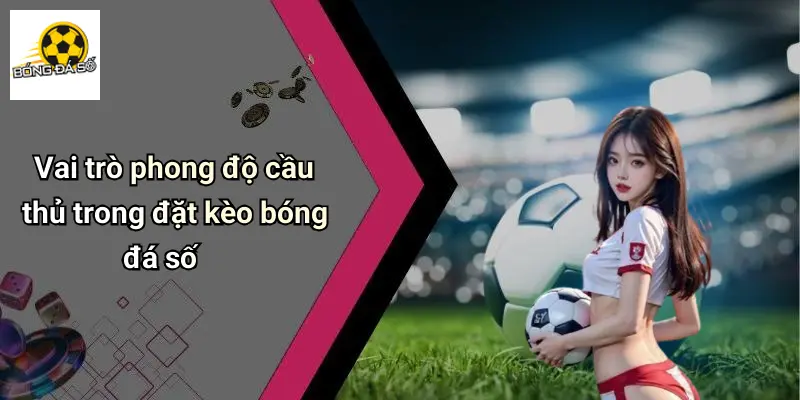 Mẹo Chọn Kèo Dựa Trên Phong Độ Cầu Thủ