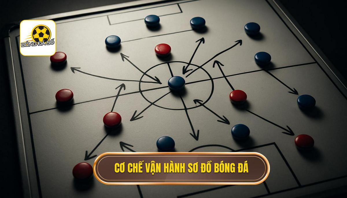 Cơ chế vận hành của sơ đồ không tiền đạo trên sân cỏ