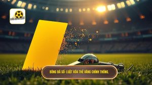Bóng Đá Số_ Luật xóa thẻ vàng chính thống