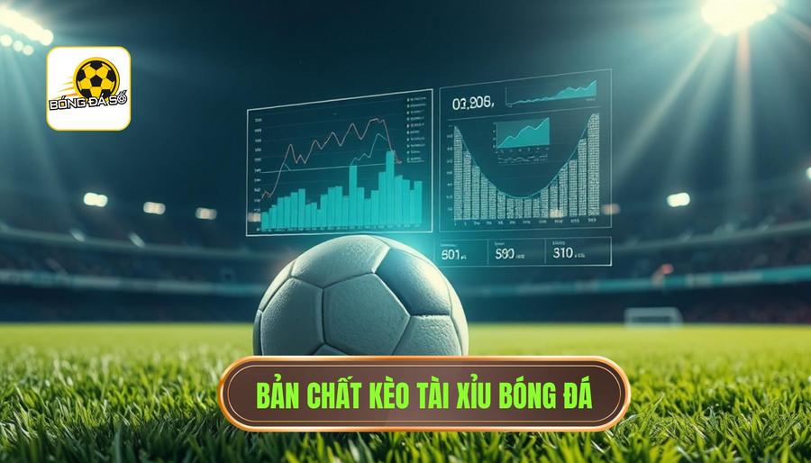 Cách bắt kèo tài xỉu chuẩn: Bí quyết "vàng" giúp bạn làm chủ cuộc chơi 1 Hiểu rõ bản chất của kèo Tài Xỉu trong bóng đá