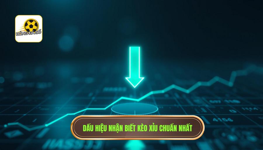 Khi nào nên vào kèo xỉu? Bí quyết nắm chắc phần thắng trong tay 2 Những dấu hiệu nhận biết khi nào nên vào kèo xỉu
